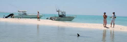 Dirk Hartog Island Eco Lodge 德纳姆 外观 照片